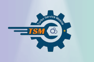 TSM TOOL - 6 Months 1 Pc [AUTO API]