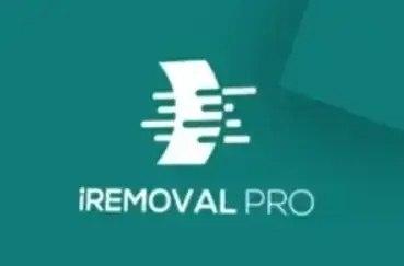 iRemoval Pro FMI OFF by SN IPad 2nd Gen (WIFI)